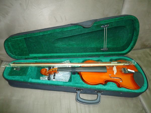 VIOLINO CHINÊS